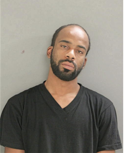 ANTHONY J BOYLE, Cook County, Illinois