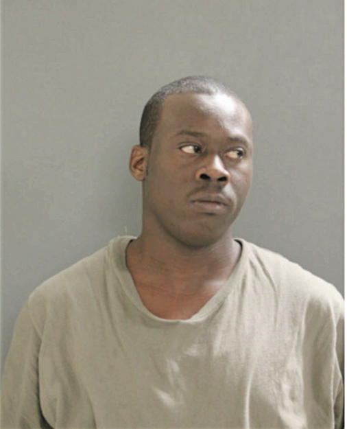 DANNE D BROCK, Cook County, Illinois