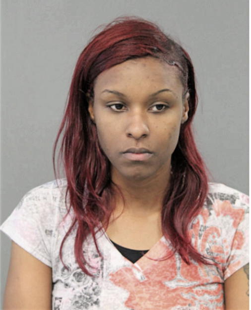 FABIANA L BRYANT, Cook County, Illinois