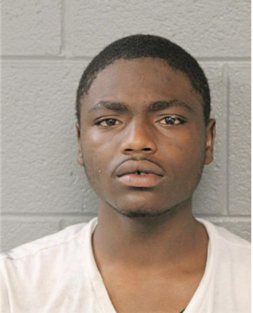 CHRISTOPHER N ELLIS, Cook County, Illinois