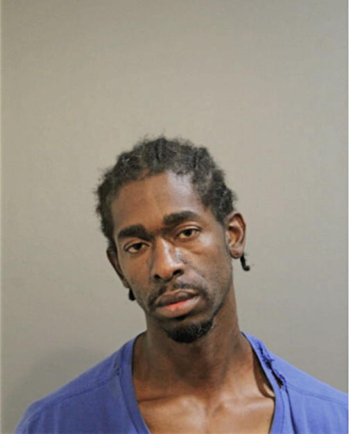 MICHAEL B FABER, Cook County, Illinois