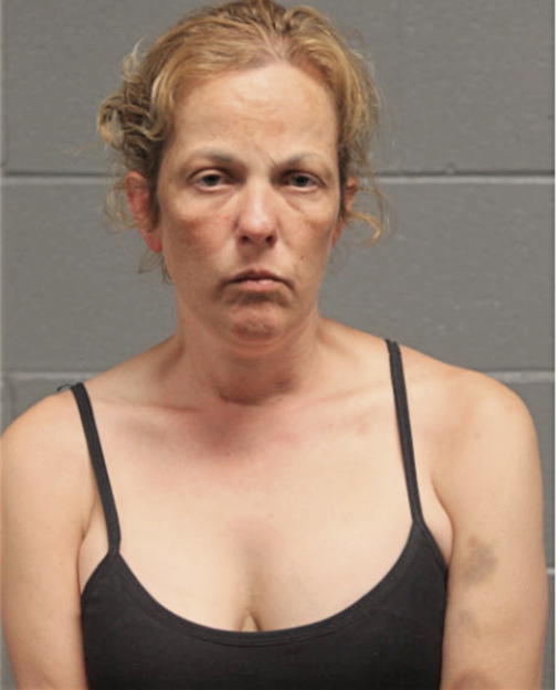 AMY FISCHER, Cook County, Illinois
