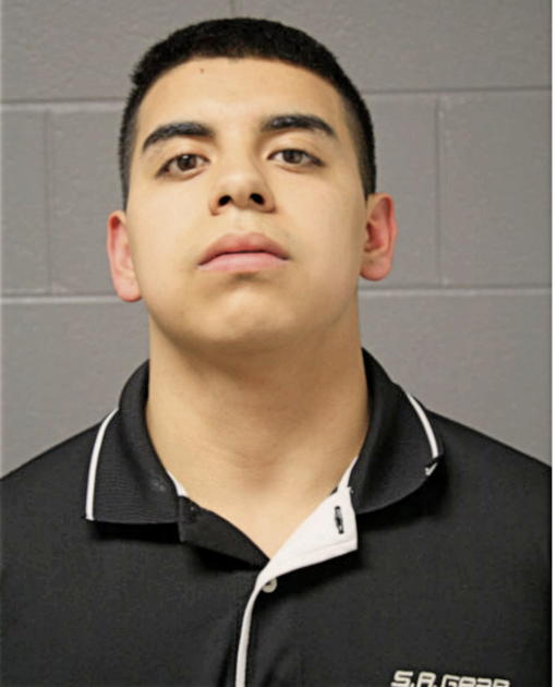 OMAR A FLORES, Cook County, Illinois