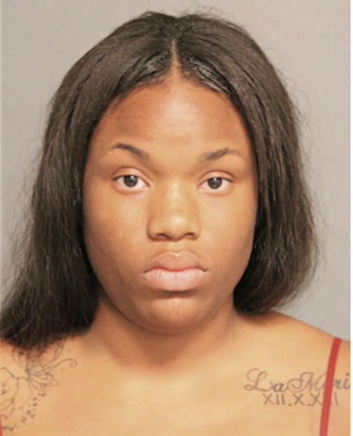 TATIANA D JOHNSON, Cook County, Illinois
