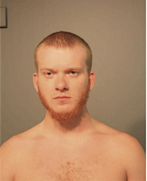 KYLE M LIMANOWSKI, Cook County, Illinois