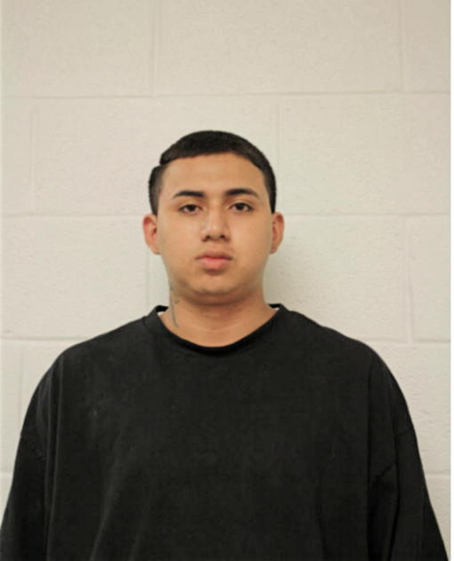 MYNOR LOPEZ, Cook County, Illinois