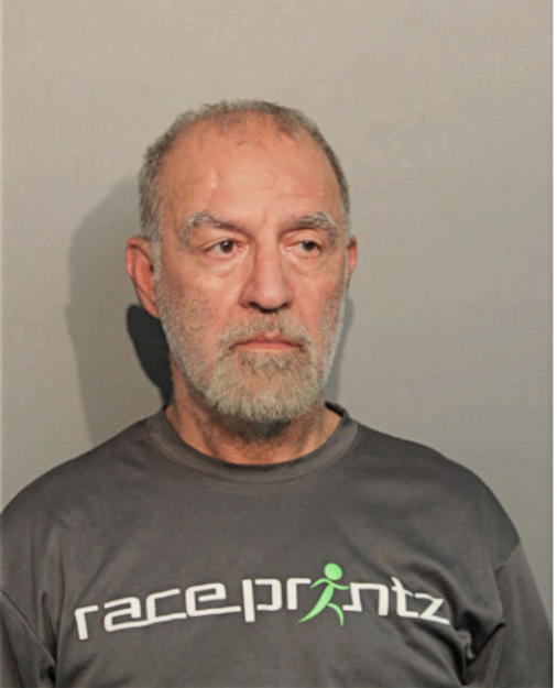 SEYEDREZA MINAEY, Cook County, Illinois