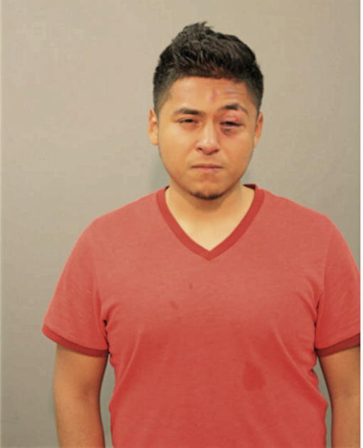 MARIO ROMAN, Cook County, Illinois
