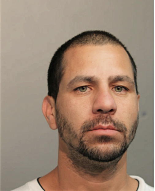 DANIEL T SALCEDO, Cook County, Illinois