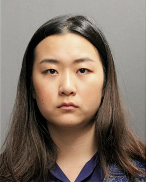 TONG SU, Cook County, Illinois