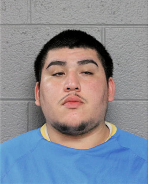 RAMON F TORRES, Cook County, Illinois