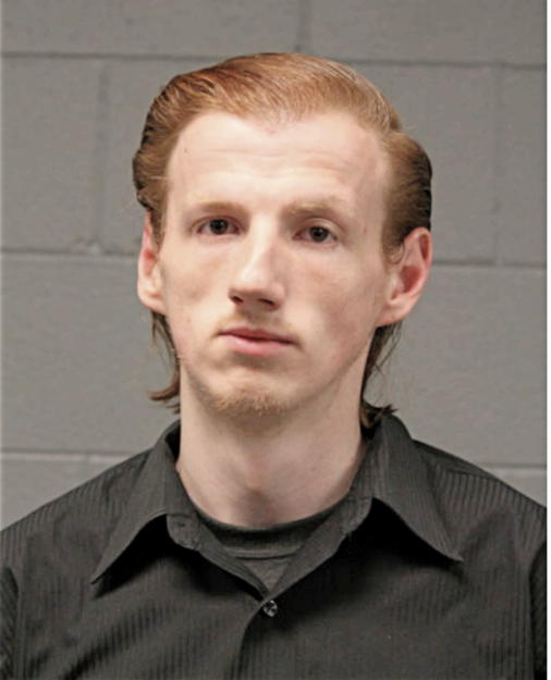 LUKAS VALENTINAVICIUS, Cook County, Illinois