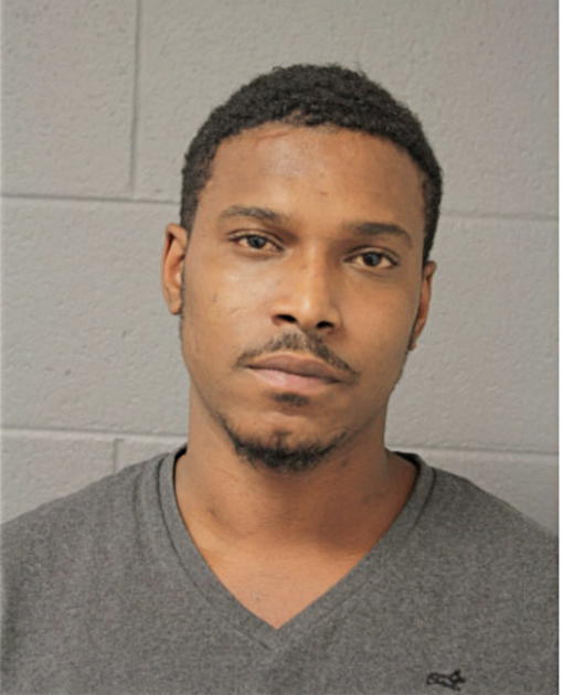 DEVIN L WEBB, Cook County, Illinois