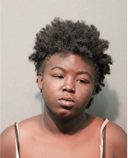 ERICKA L WILLIAMS, Cook County, Illinois