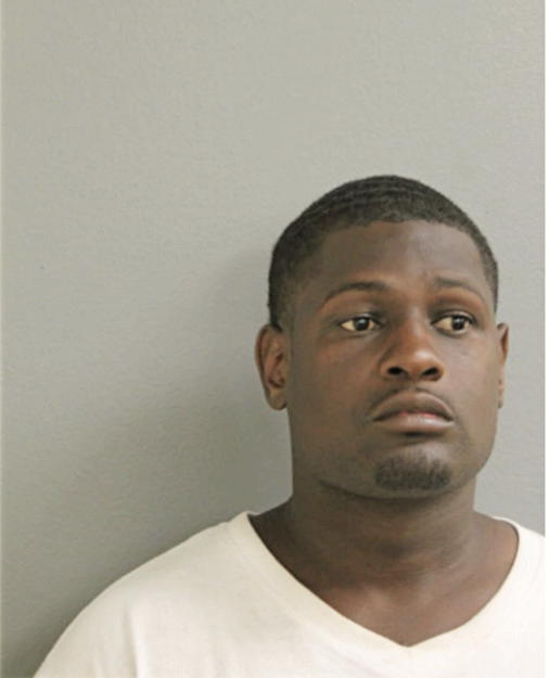DERRICK R YOUNG, Cook County, Illinois