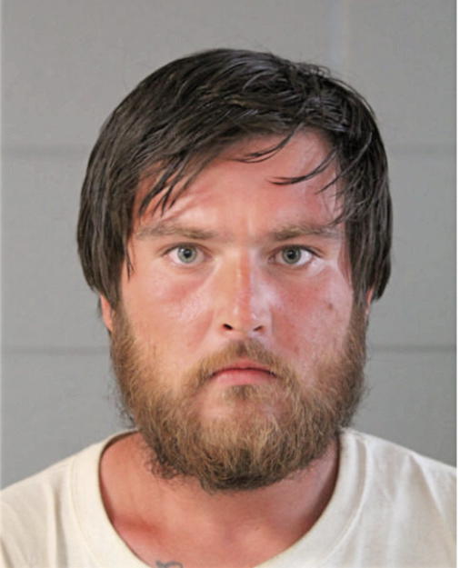 PAVEL ALBRECHT, Cook County, Illinois