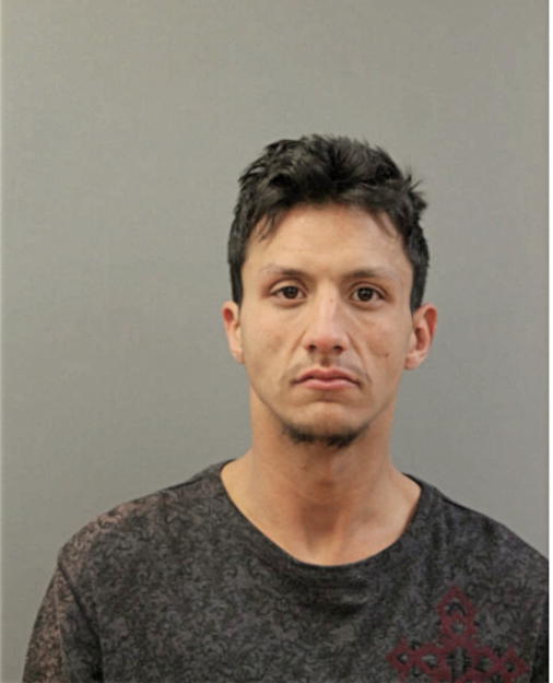 JONATHAN R ALVARADO, Cook County, Illinois