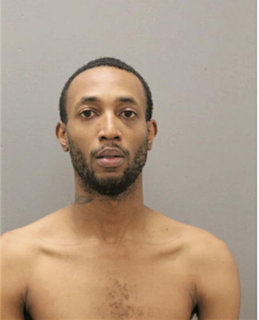 WALTER D AMMONS, Cook County, Illinois