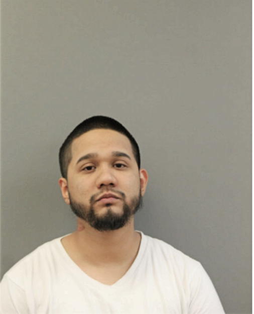 RAPHAEL R DELUNA, Cook County, Illinois