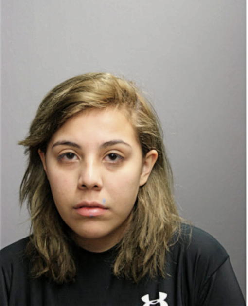 DOROTHY G DOMINGUEZ, Cook County, Illinois
