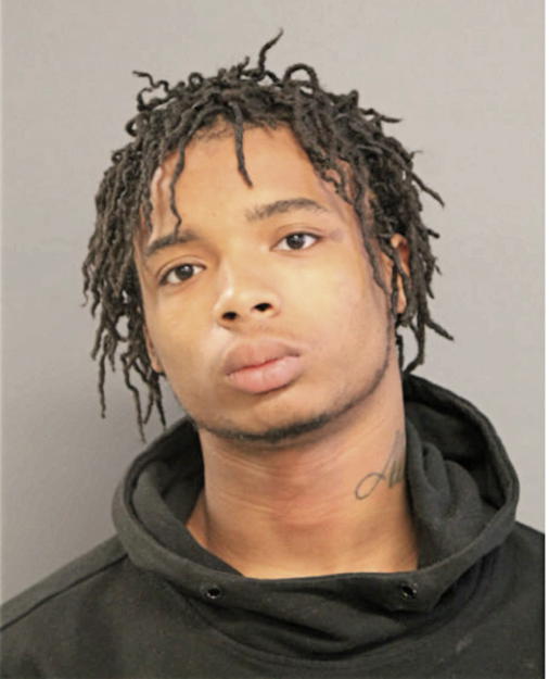 BRIAN L FORD, Cook County, Illinois