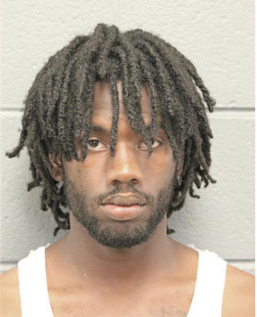 WALTER L FORD, Cook County, Illinois