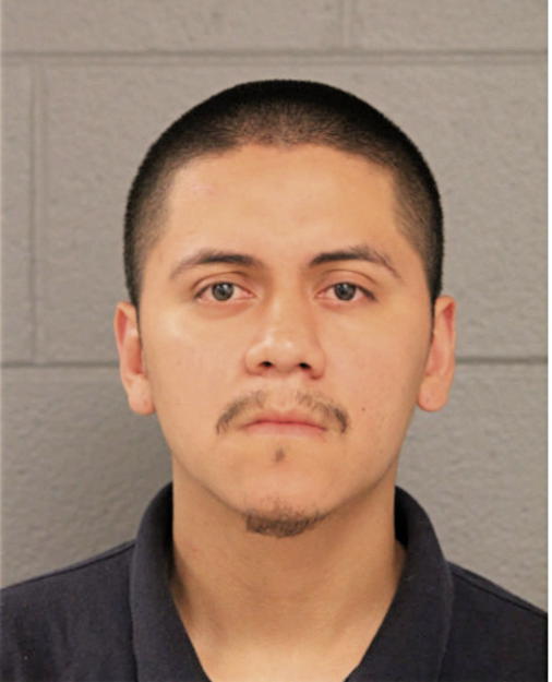 CESAR D FUERTE, Cook County, Illinois
