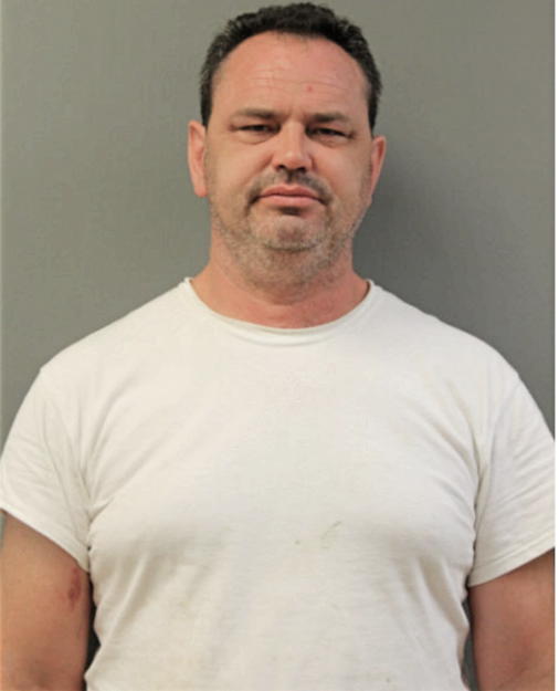 MICHAEL A HAYES, Cook County, Illinois