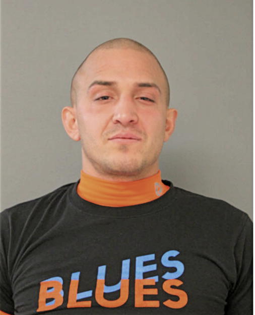 RUSTIN J BAZAREK, Cook County, Illinois