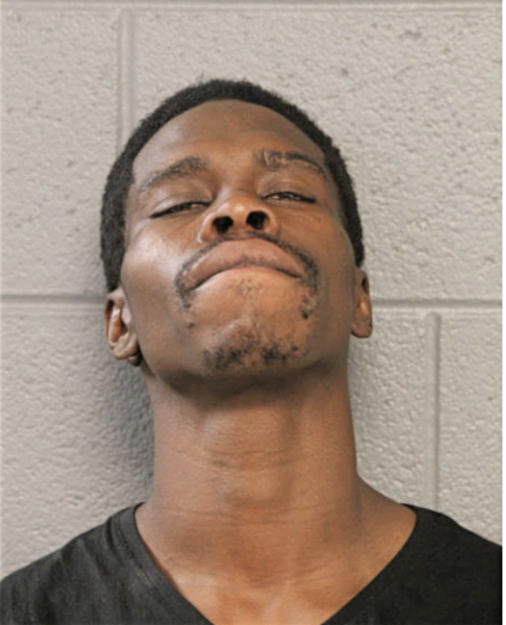 SAMUEL L JOHNSON, Cook County, Illinois