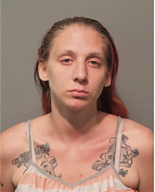 SHERI L KNEPPLE, Cook County, Illinois