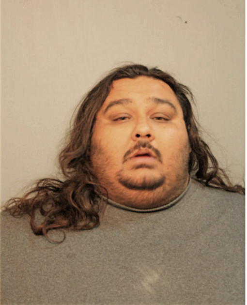PETER A LEWANDOSKI, Cook County, Illinois