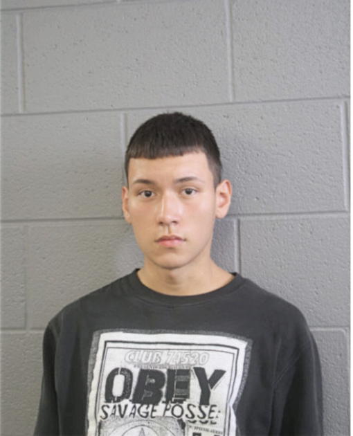 MIGUEL MEZA, Cook County, Illinois