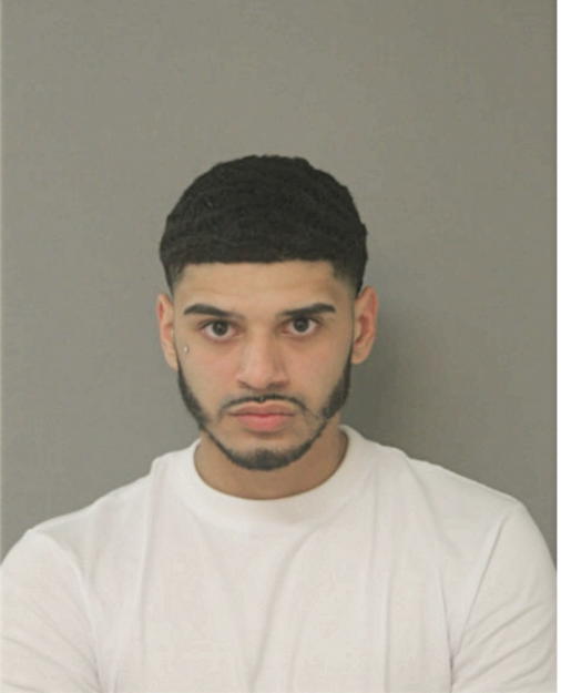 ARMANDO C MORALES, Cook County, Illinois