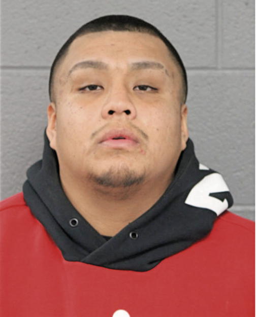 MANUEL PEDRO-MONTES, Cook County, Illinois