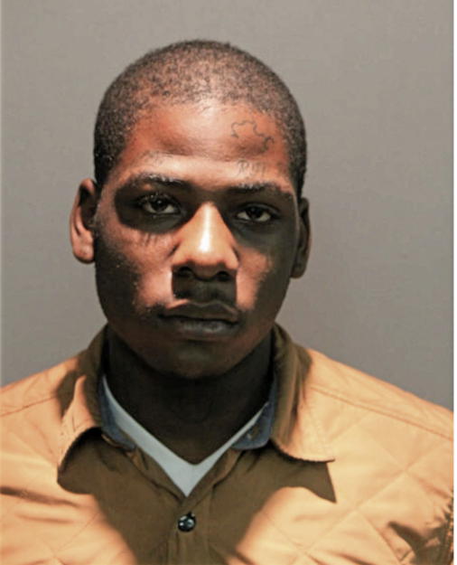 WESLEY J REED, Cook County, Illinois