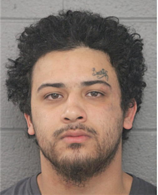 LUIS O RODRIGUEZ, Cook County, Illinois