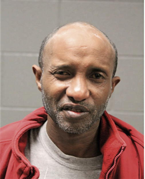 ALEM A TEKLE, Cook County, Illinois