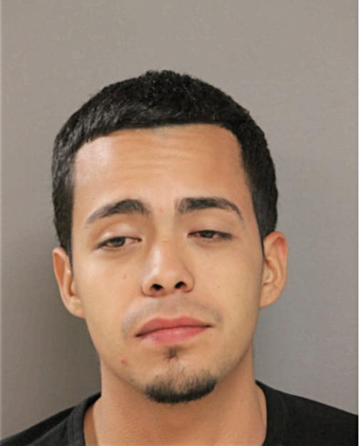 OMAR G VILLA, Cook County, Illinois