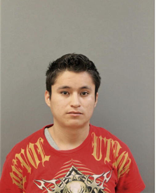 MIGUEL VIVEROS, Cook County, Illinois
