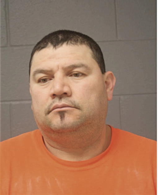 MANUEL J ALFARO, Cook County, Illinois