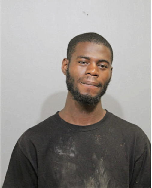 DARIUS B AUSTIN, Cook County, Illinois