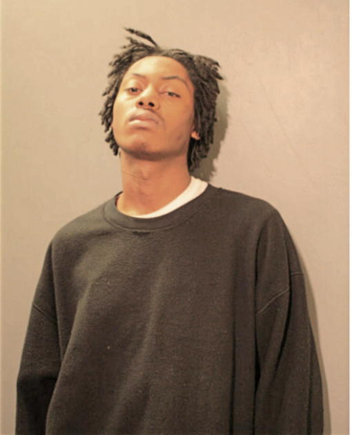 LARRY L BECTON, Cook County, Illinois