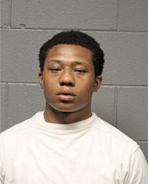DONNIE L BELL, Cook County, Illinois