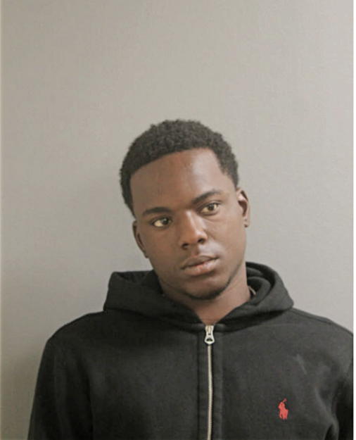 DORIAN L BROWN, Cook County, Illinois