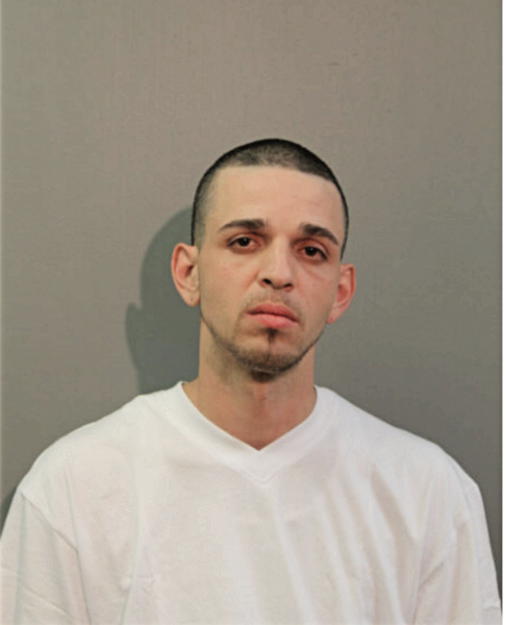 JUAN P CORREA, Cook County, Illinois