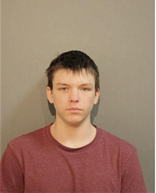 ALEXANDER C DELBOSQUE, Cook County, Illinois