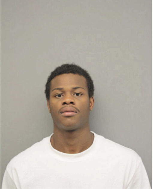 DOMINIQUE R DILLION, Cook County, Illinois