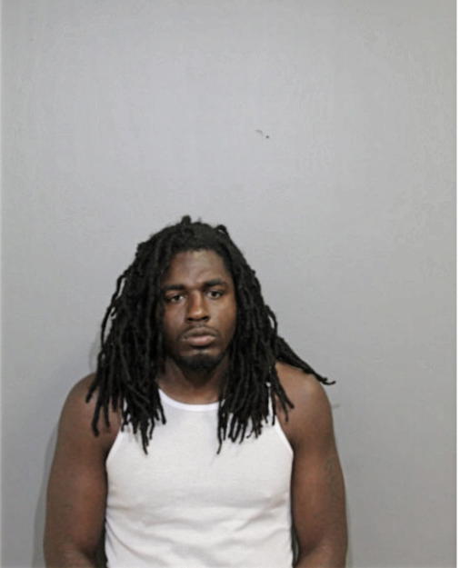 BRANDON L DIMING, Cook County, Illinois