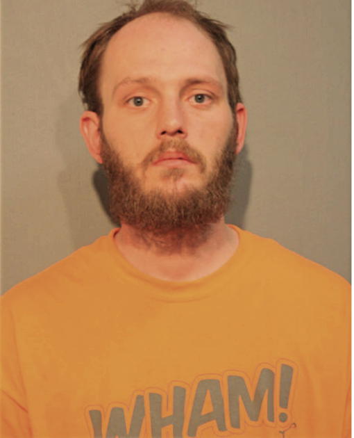 RAYMOND L FALK, Cook County, Illinois